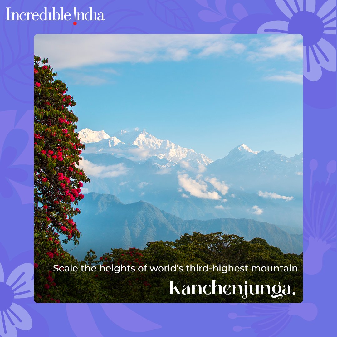 incredibleindia's tweet photo. #Spring has sprung in #Darjeeling! 🌸Time to bask in the gentle warmth, breathe in the fragrant air, and revel in colours of nature. Which springtime activity gets you buzzing the most?

Click the link to explore https://t.co/kaKZaDYu2q