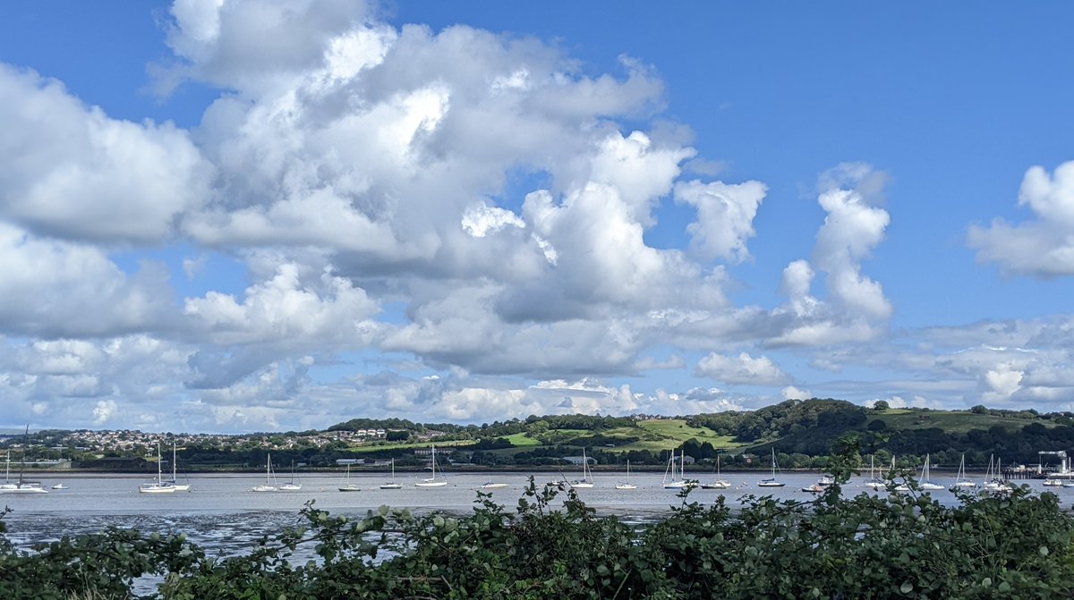 leanahosea's tweet photo. Lower River Tamar, part of the Tamar Estuaries Special Protected Area. So beautiful, so contaminated. EA figures show banned PFOS, mercury &amp; PBDEs in the river. Plus, the EA permits for the release of low level radioactive substances from the dockyard.1/2 
https://t.co/H5FqIVWuy3 https://t.co/rERAp9DvYx