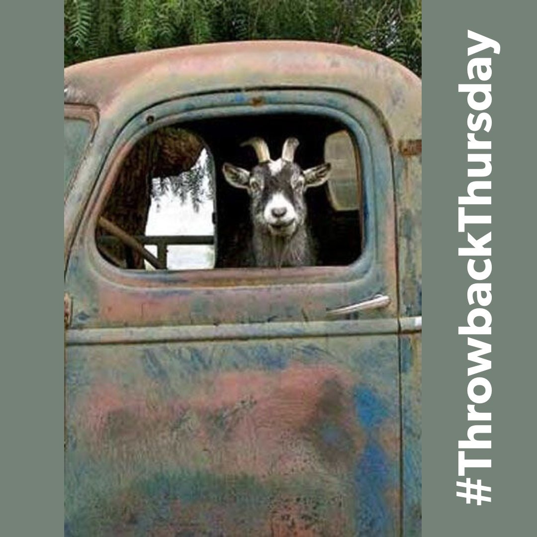 SusanMacMillan's tweet photo. #ThrowbackThursday #Tbt

@CGIAR @ILRI
#ScalingAg4Impact #PortfolioPerformanceUnit https://t.co/4QMbrbLk08