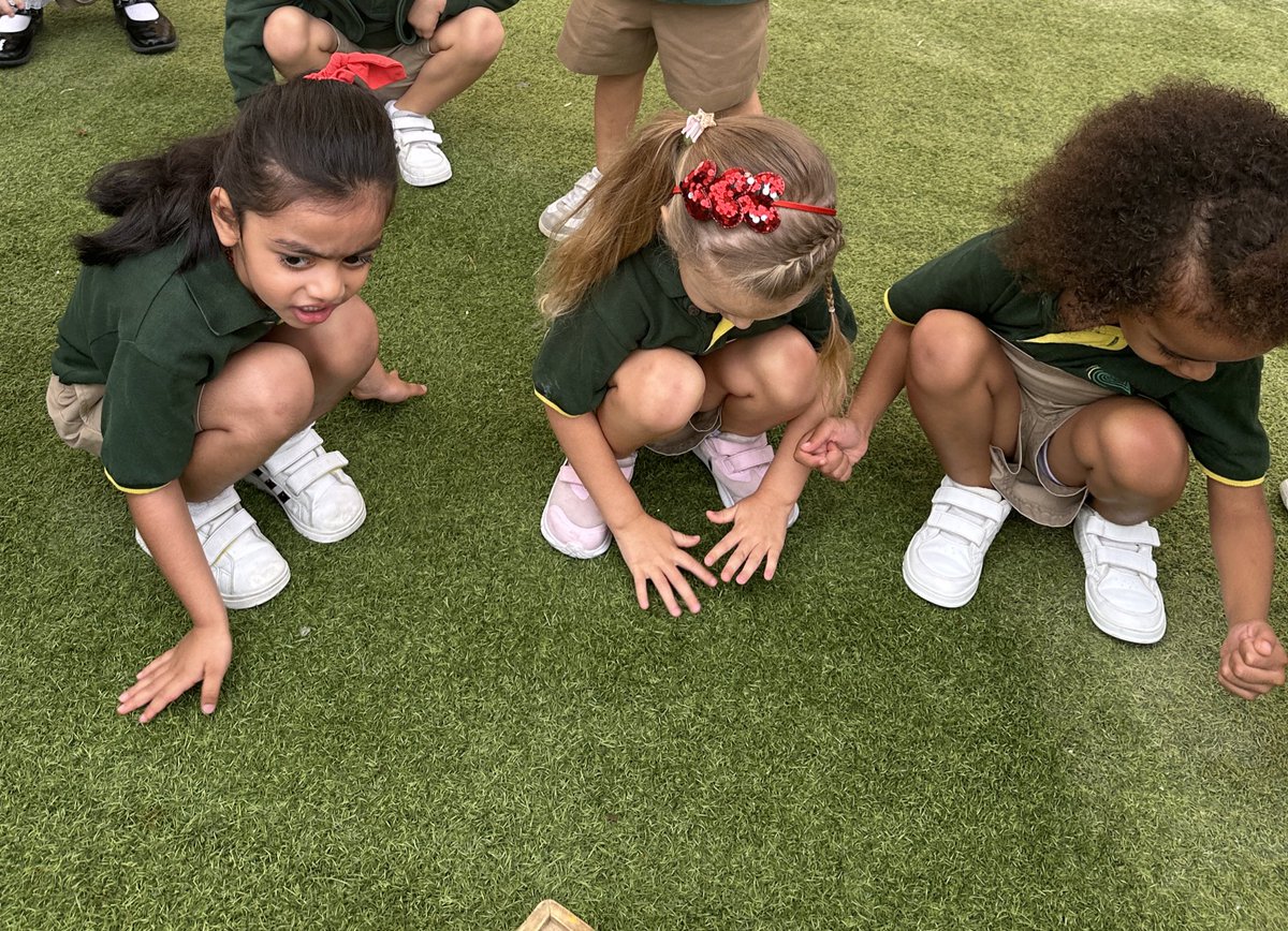 ArborFoundation's tweet photo. Why is it so foggy today? Lots of children in #ButtercupClass asked! This set us up for a morning of exploring what fog is, what it feels like, and what it can make different areas of our school feel like! We then made our own fog experiment 🌫☁️ https://t.co/EyvUmNgqqH