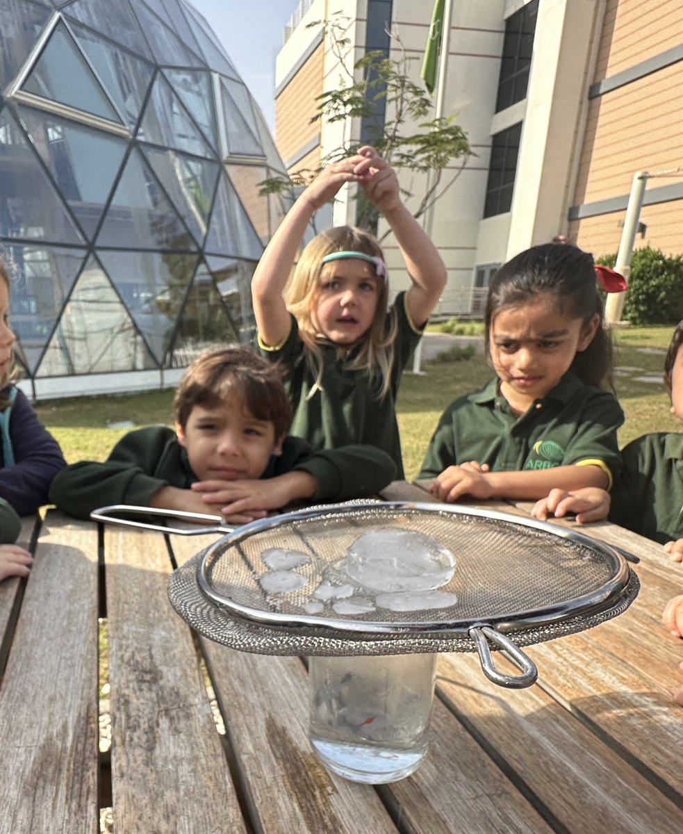 ArborFoundation's tweet photo. Why is it so foggy today? Lots of children in #ButtercupClass asked! This set us up for a morning of exploring what fog is, what it feels like, and what it can make different areas of our school feel like! We then made our own fog experiment 🌫☁️ https://t.co/EyvUmNgqqH
