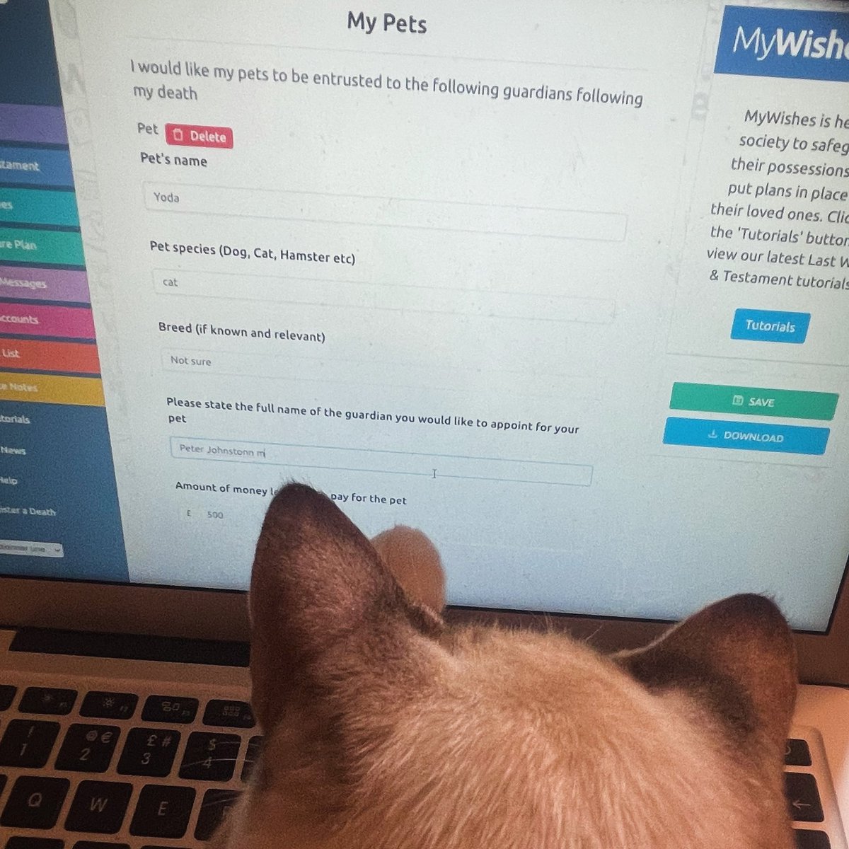 Don’t forget to make plans for your pets in your Last Will & Testament. To write a free, legally binding will visit: mywishes.co.uk/will-writing-s… #freewills #Freewillmonth #lifehack #pets #catsoftwitter