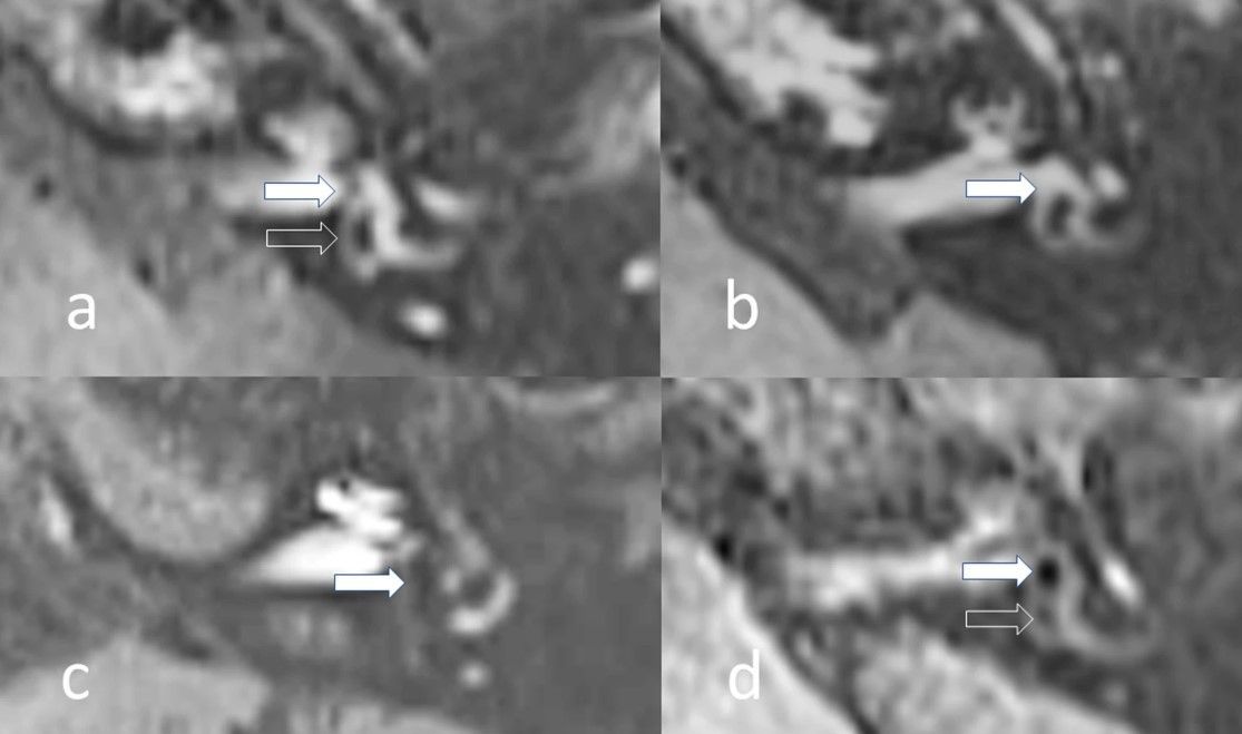 ESR Journals tweet media