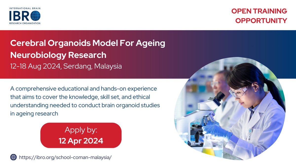 If you are interested in 🧠 #organoids and #aging #research, check out this training opportunity in Serdang, Malaysia! 🤩 Learn more: ow.ly/I94Y50QQ3Yy @JQIpLab @DrLinOng @miclkh #ageingresearch