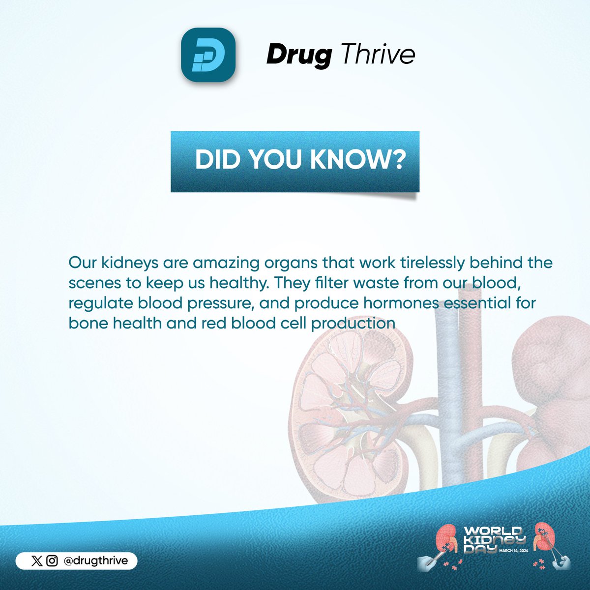 DrugThrive's tweet photo. Healthy kidneys, healthy you! Learn more about kidney disease today. 
#WorldKidneyDay #KidneyHealth #KidneyHealthForAll https://t.co/7f3E5gv0hG