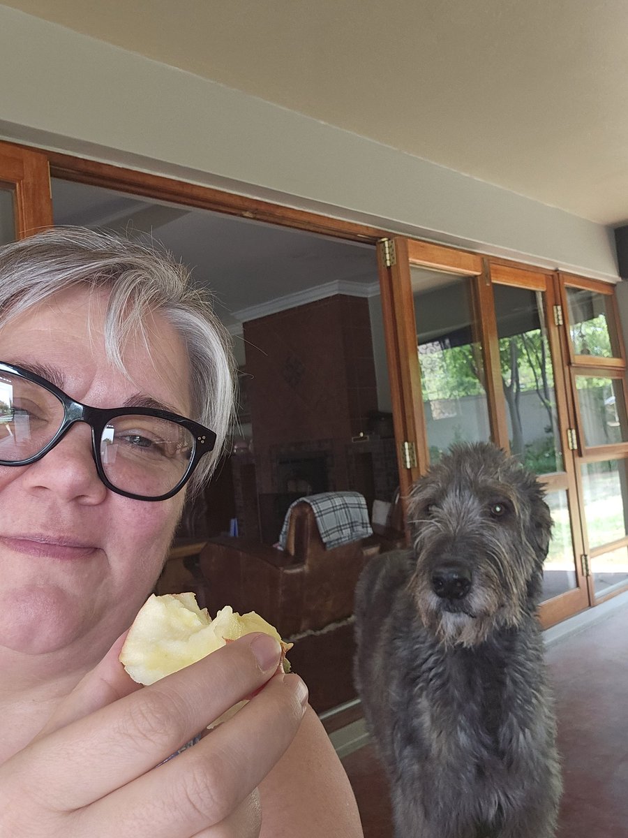 Sleep tight, my darling apple thief. They were the best 9 years ever ❤️ Run free and eat all the apples 💔#irishwolfhound