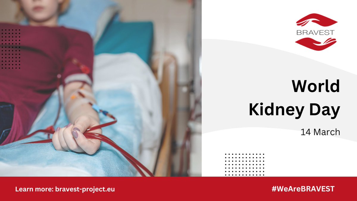 Today is #WorldKidneyDay2024, marking the start of our 2-day consortium meeting. As we plan our collaborations for the next stages of the BRAVEST project, we commemorate this day in solidarity with all people on wait lists and those impacted by transplantation 🌿 #WeAreBRAVEST