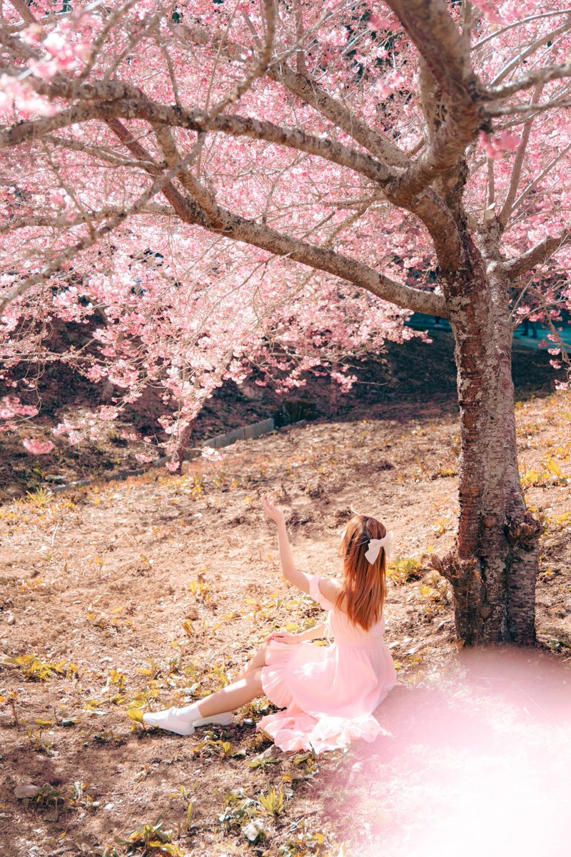 GroovyStylesSA's tweet image. 台中の観光スポット📍千本桜園🌸結婚
乾英源🌸結婚
写真を撮るのが嫌い、暑さが苦手、花や植物が嫌いな少年。
桜の写真を撮るためだけに撫寿山に連れて行ってもいいです
本当に結婚できるんですね🤣🌸🌸🌸🌸🌸