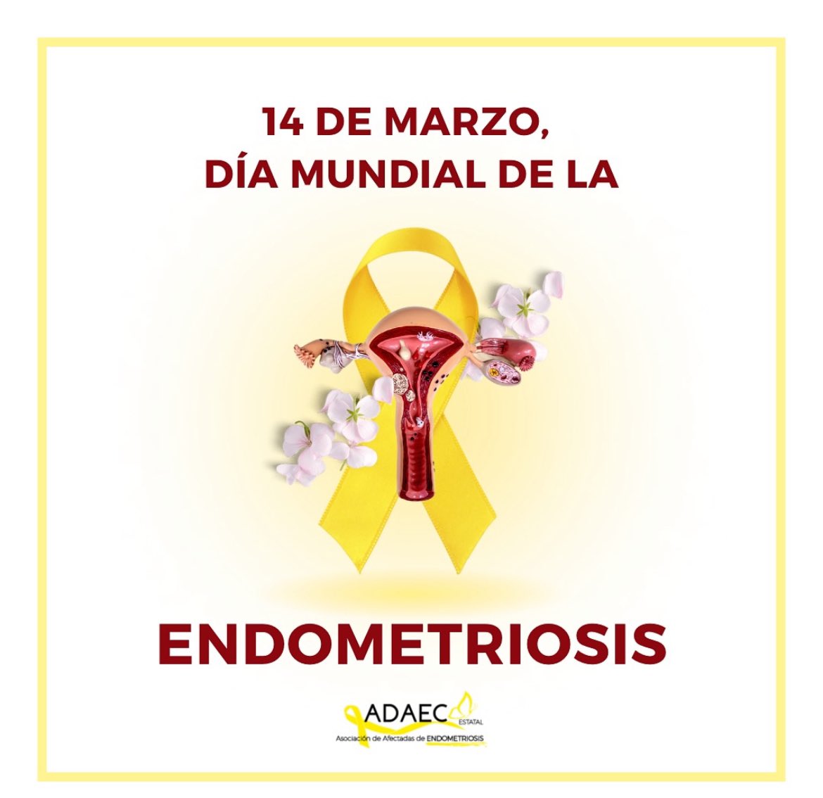 🎗️14 de marzo, Día mundial de la Endometriosis 🎗️
#adaec #endometriosis