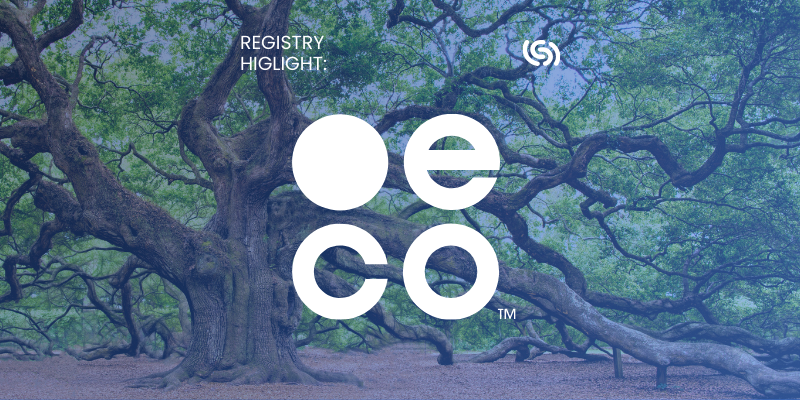 lexsynergy's tweet image. A standout TLD in our One Domain, One Tree pledge. This week we invite Owen Rogers of
@doteco, discussing how and why brands should integrate environmental practices into their business. #onedomainonetree #domains #registry

lexsynergy.com/blog/registry-…