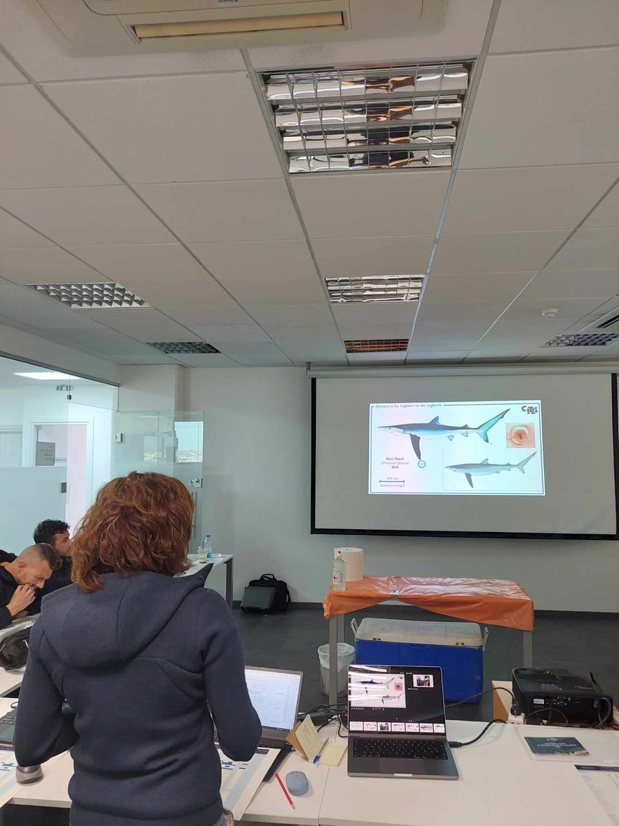 Monica Barone, @UN_FAO_GFCM explaining key characteristics for #shark & #ray identification to the fisheries inspectors of the Department of Fisheries and Marine Research, Cyprus, within the workshop organised by iSea & @MER_Lab_CY on Shark & Ray proper identification!