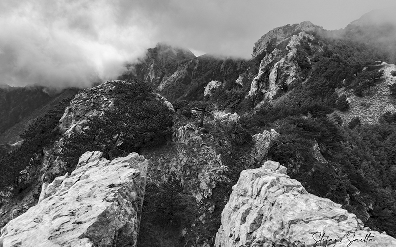 sentieripollino's tweet photo. ESCURSIONI NEL PARCO NAZIONALE DEL POLLINO
Scopri alcuni dei sentieri e degli itinerari di escursionismo del Parco del Pollino!

Approfondisci: https://t.co/HWGe3RYMcn

#escursioniguidate #escursioniinmontagna #escursioniparcopollino #pollinonationalpark #igerspollino https://t.co/F1UhwwDwWf
