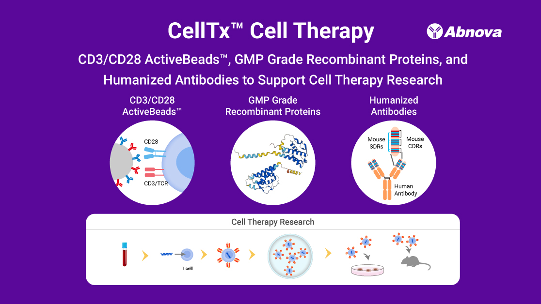 Abnova1's tweet photo. 【CellTx™ Cell Therapy】
CD3/CD28 ActiveBeads™, GMP Grade Recombinant Proteins, and Humanized Antibodies to Support Cell Therapy Research
💠Products:
https://t.co/6CfLcESzUL https://t.co/Lvk1cQ3153