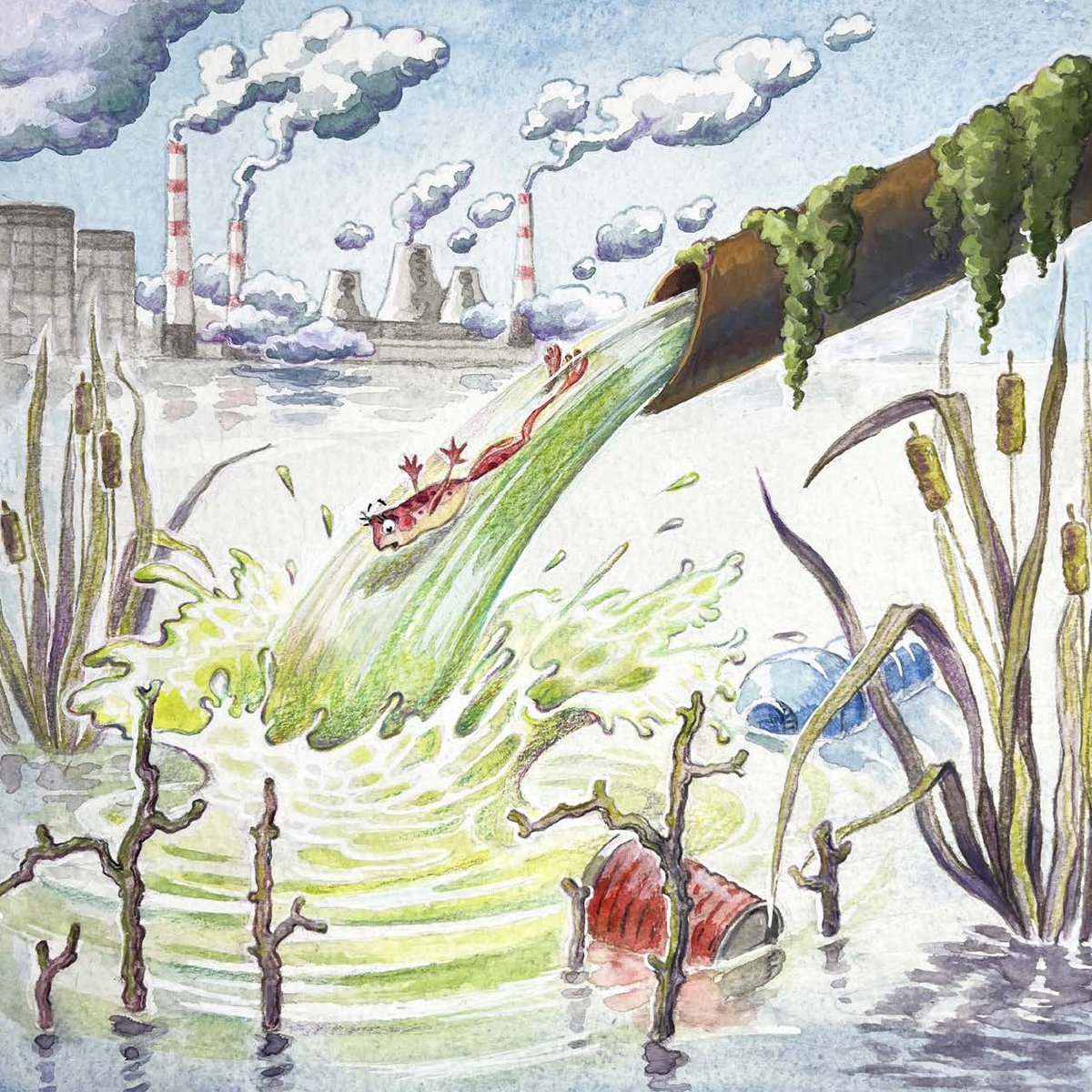 Here's a preview from the next book in the #frogsbog series to mark The International Day of Action for Rivers. Illustration by Mariela Malova says it all. #rivers #waterways #kidlit #AuthorsOfTwitter