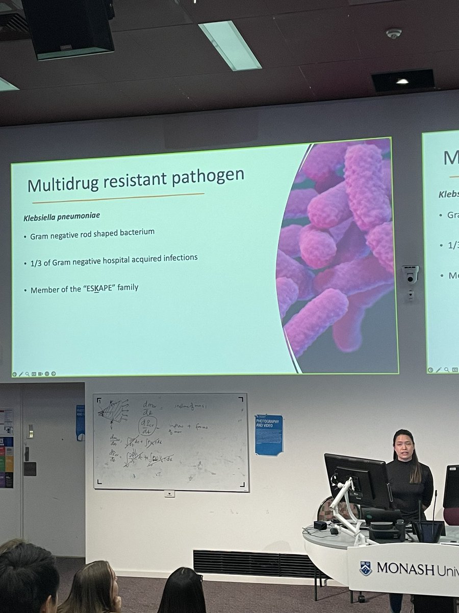 The next speaker is Sher Main Tan from @TheDohertyInst investigating multidrug resistant Klebsiella pneumoniae