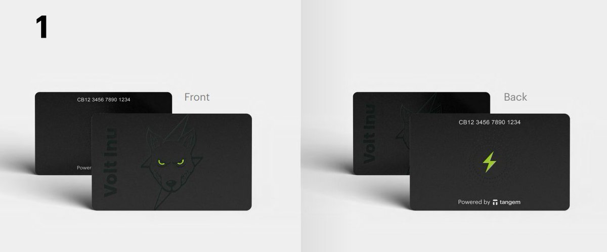 Volt Inu ⚡️ tweet media