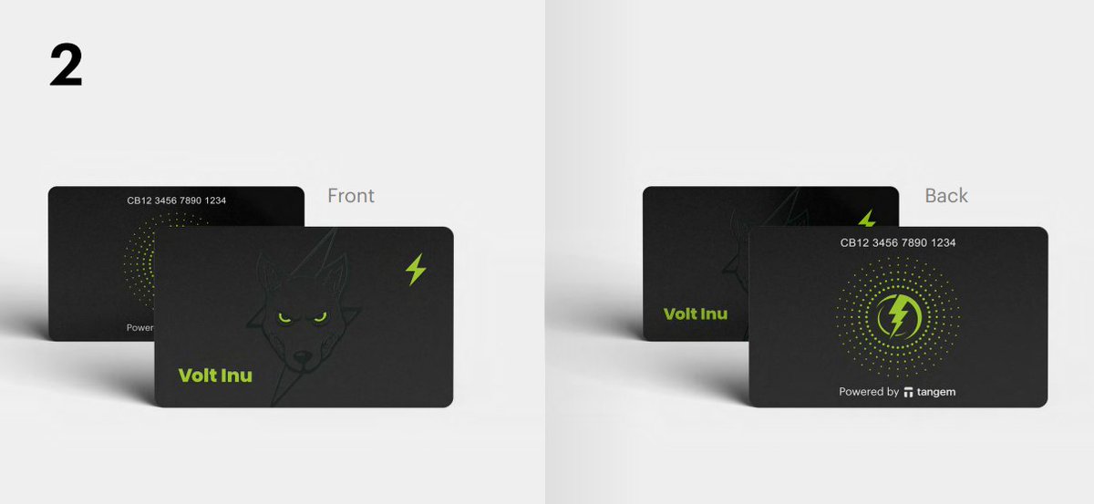 Volt Inu ⚡️ tweet media