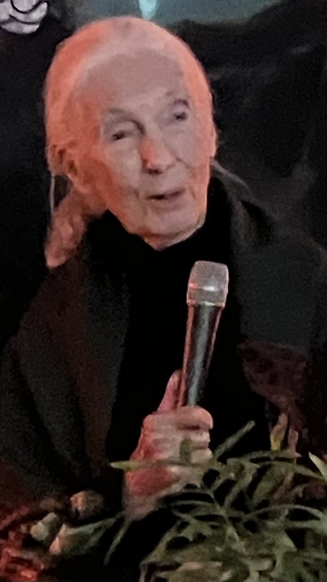 Privileged to help celebrate the 90th birthday of the incomparable ⁦@JaneGoodallUK⁩ in London last night. Her message of positive action and hope for the environment is hugely inspiring, and her energy is far greater than that of most people half her age.