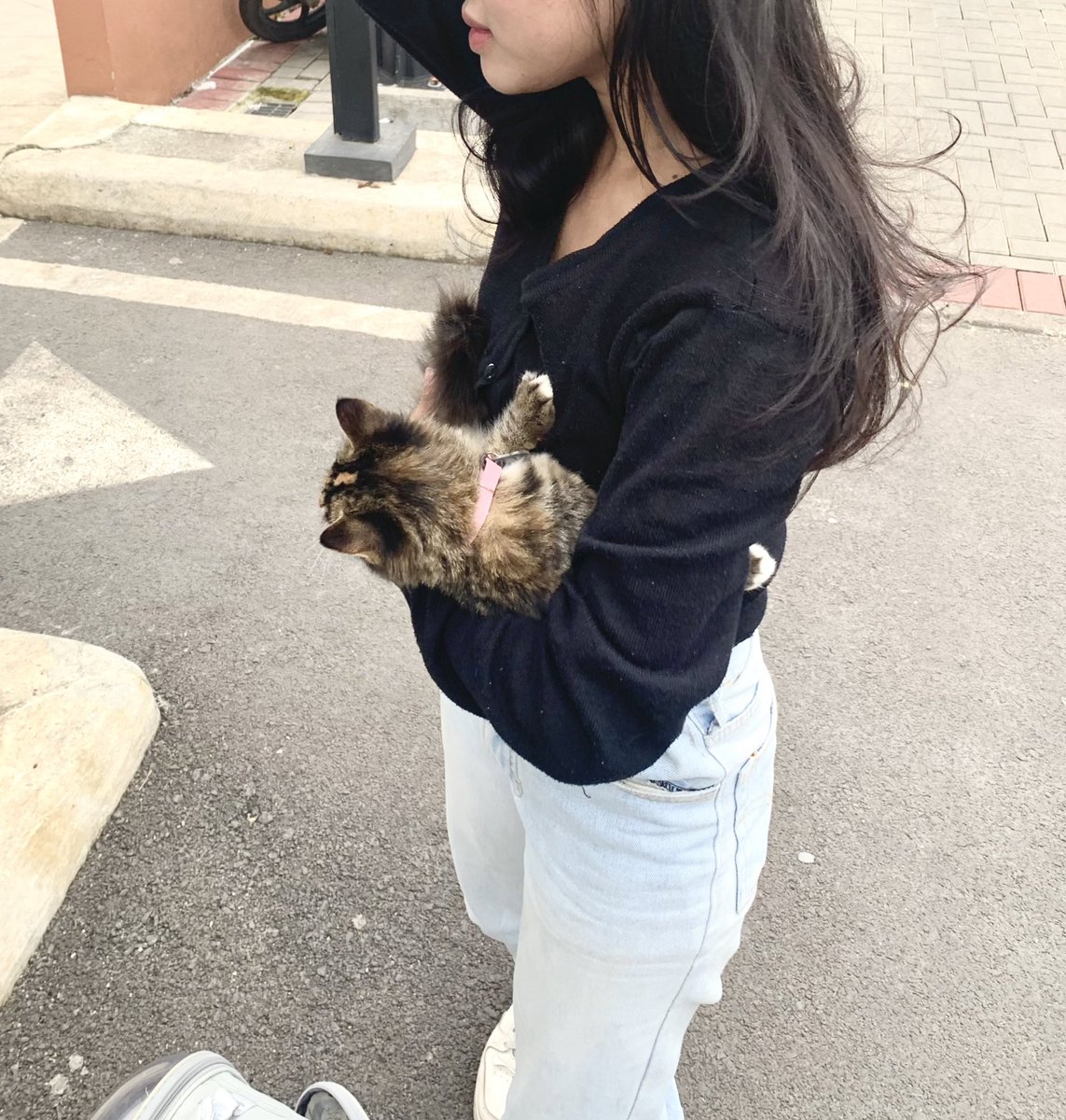 httpsasyaa's tweet photo. dokumentasi kemarin waktu main brsm miuu🫶🏻🐈🐾 https://t.co/t2b76Bc0GQ