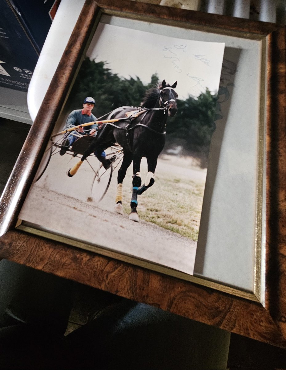 ElleTennant's tweet photo. Barry and Noopy 💗 
The things you find from being a die hard harness racing fan as a child! 
@ChrisAlford5000 @alisonalford08 @TheTrotsComAu https://t.co/oJ0a3it36Q