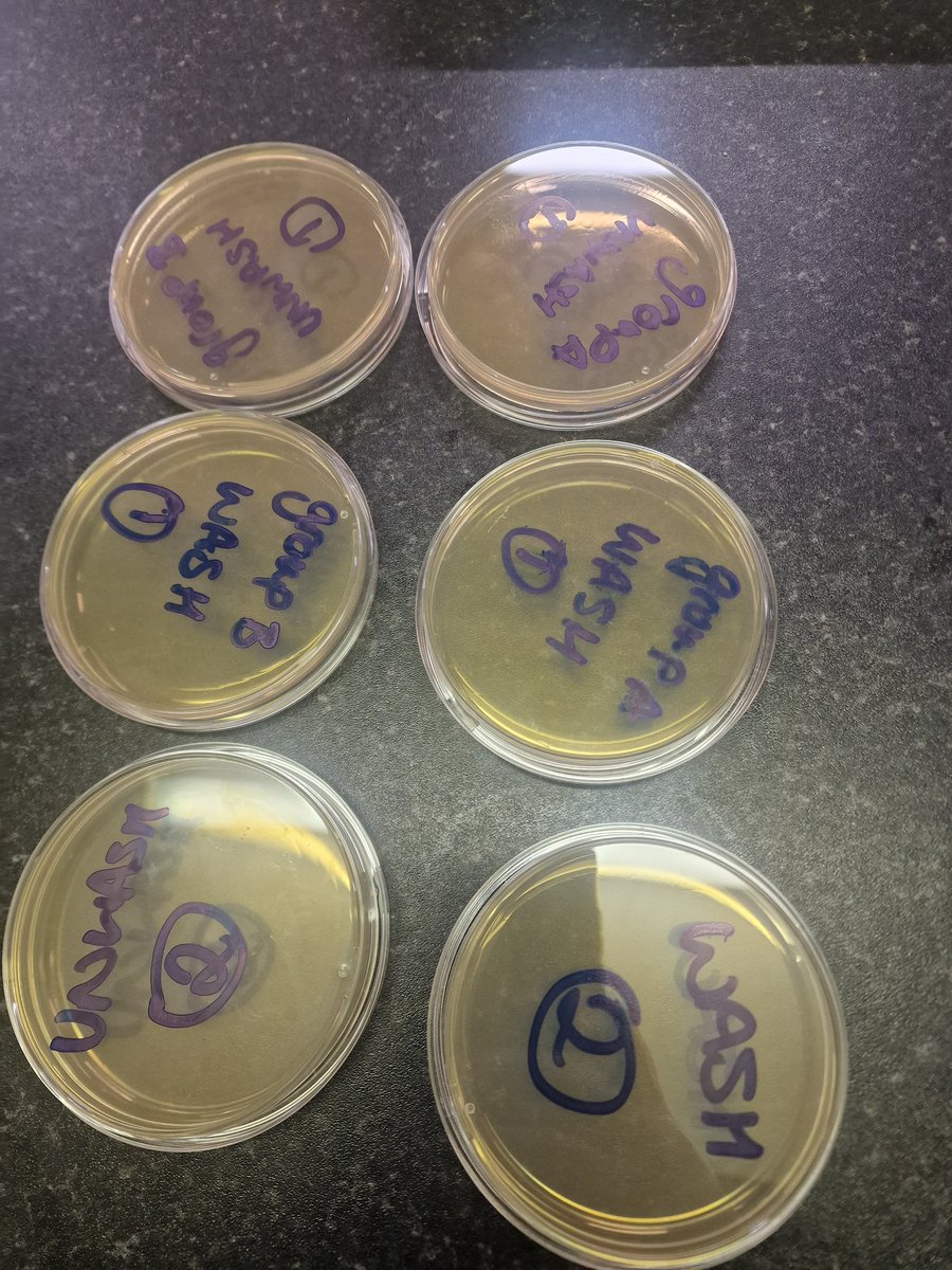 10thHamilton's tweet photo. Science term completed! Finished on volcanos and learning about hand washing  and bacteria @Girlguiding @GirlguidingScot #science https://t.co/Lcdbqyh6u1