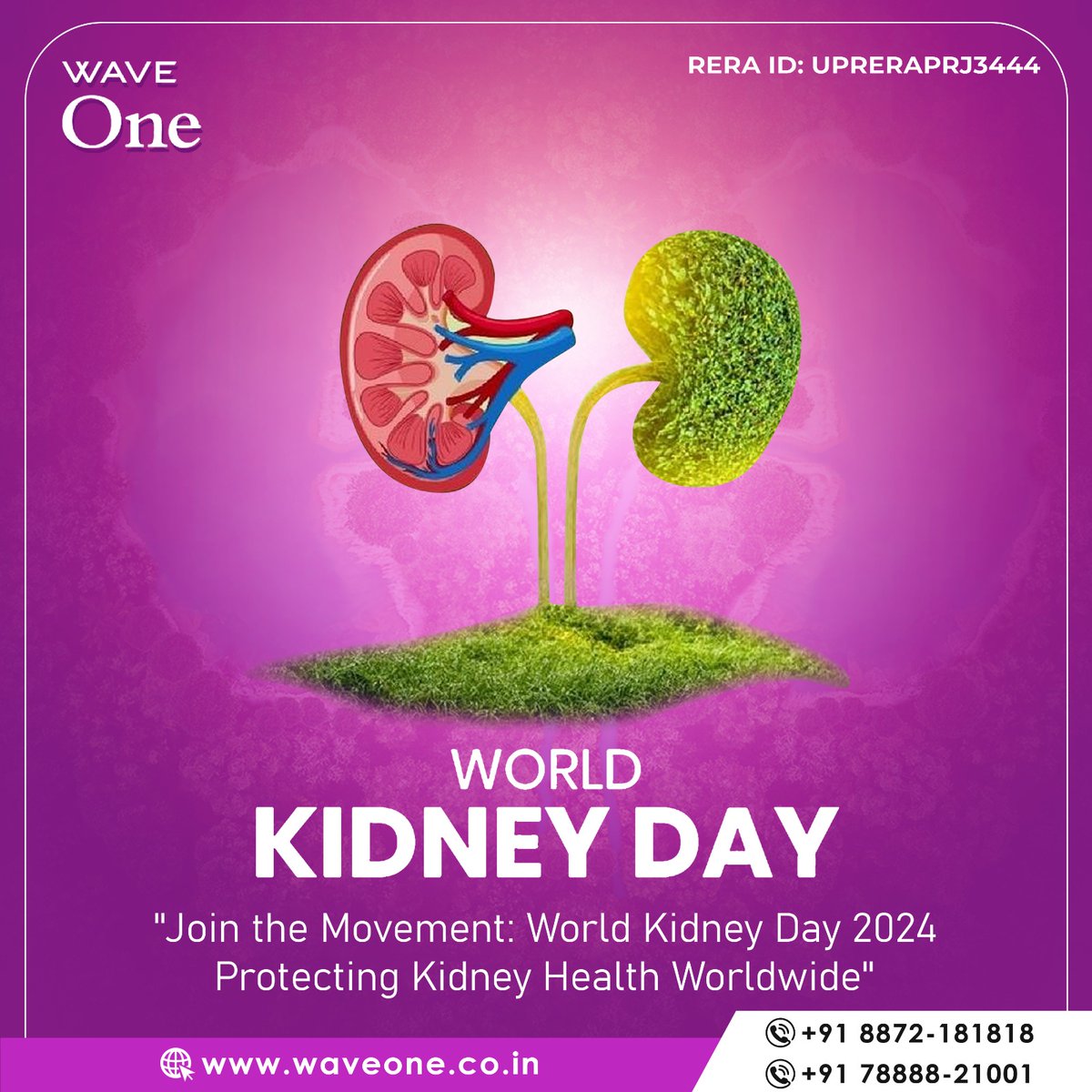 Waveone7's tweet photo. Happy World Kidney Day! 
Let's raise awareness and support kidney health worldwide. Remember, a healthy lifestyle is key to keeping those kidneys happy! 💙🌍 

#WorldKidneyDay #KidneyHealth #HealthyLiving #waveone #waveonenoida https://t.co/Fl7V5Rdp6i