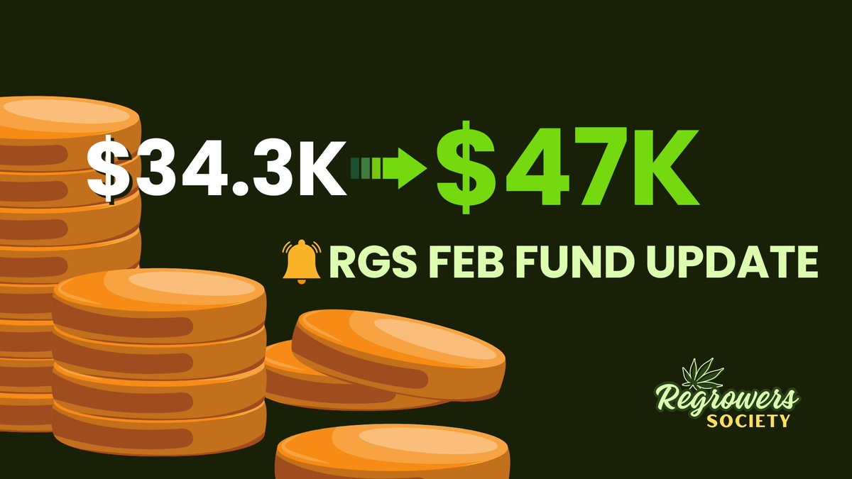 Regrowers's tweet photo. RGS Feb Fund Update

We will share a detailed update on our Discord today. https://t.co/yeBBAZ2CwW