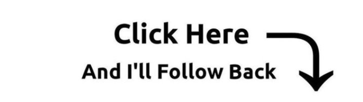 100%follow back