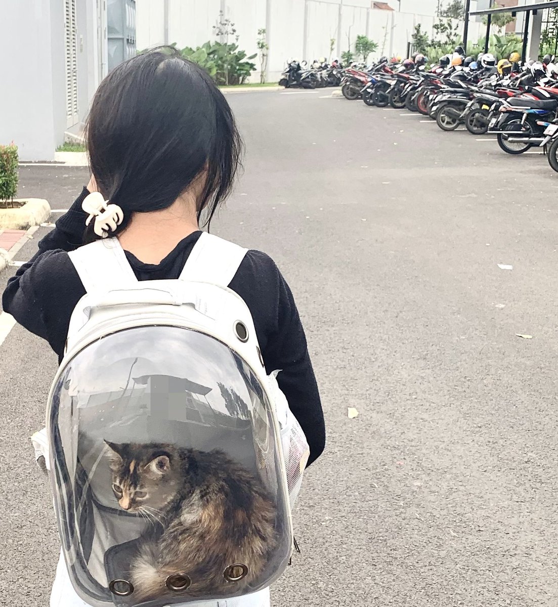 httpsasyaa's tweet photo. dokumentasi kemarin waktu main brsm miuu🫶🏻🐈🐾 https://t.co/t2b76Bc0GQ