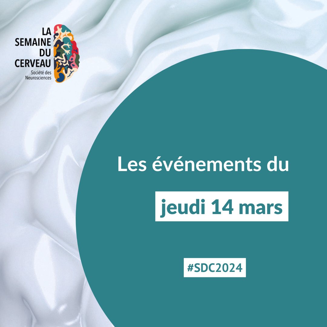 [Jour 4] La Semaine du Cerveau bat son plein ! 🤩 Encore beaucoup d'événements auxquels vous pouvez participer. Pour faire votre choix, rendez-vous sur le programme : cutt.ly/2w0S7MLY #SDC2024 #neurosciences