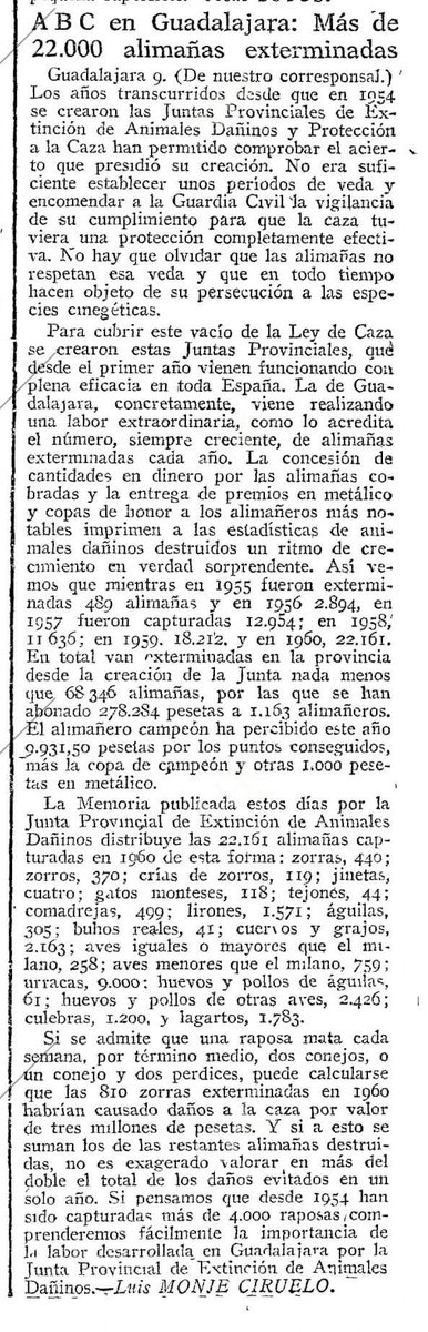 Victor41745409's tweet photo. Es de 1961......... tejones , ginetas, zorros, zorras y sus crías, lirones, lagartos,  aguilas  y sus huevos........
Pinchad en la foto, para ver el artículo completo. https://t.co/Iy5SX2ilR8
