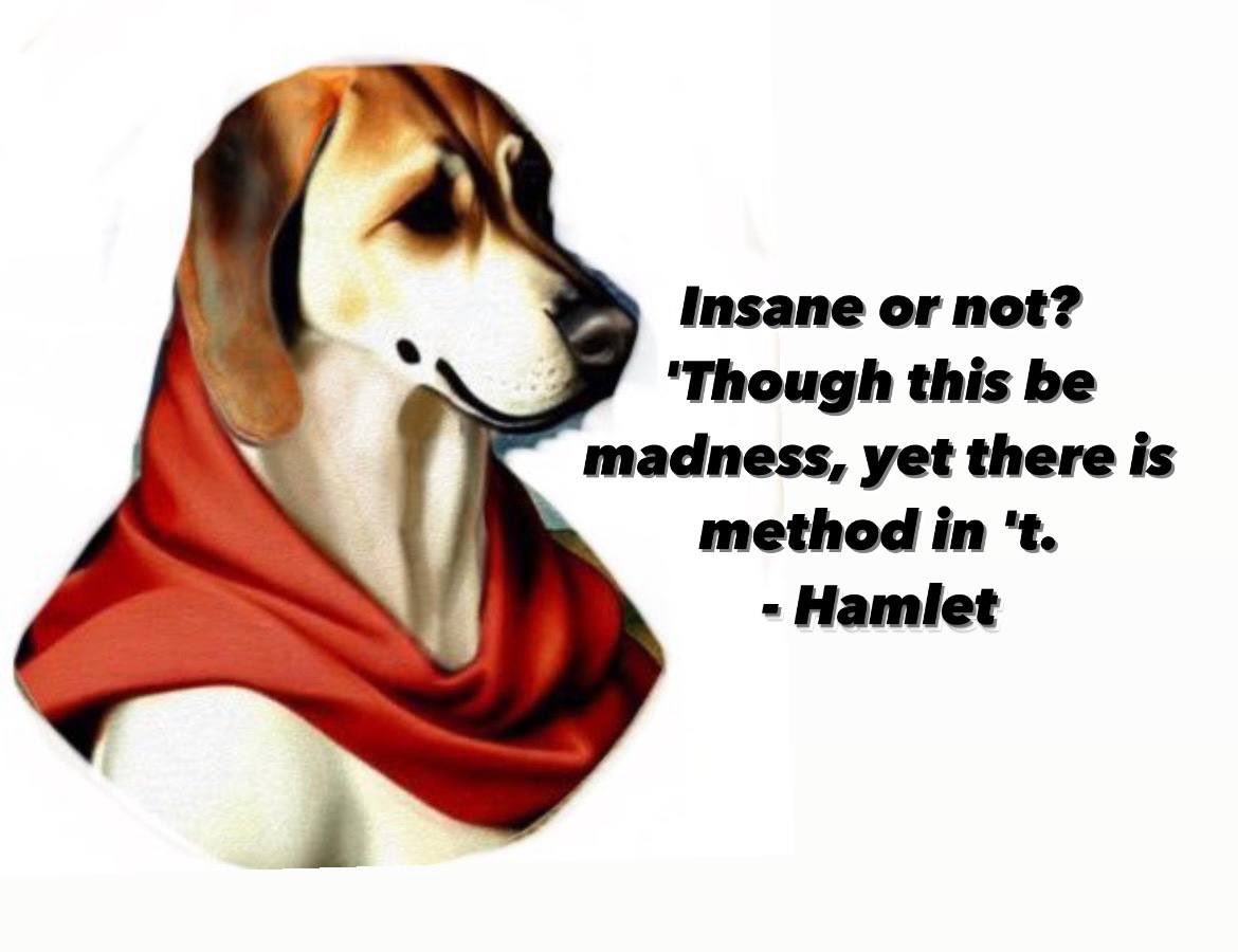 HAMLET tweet media