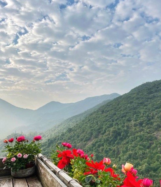 بعض الأرواح قطعه سعادة ،حكايه بيضاء
نقيه كـَ الغيم 🌨💗