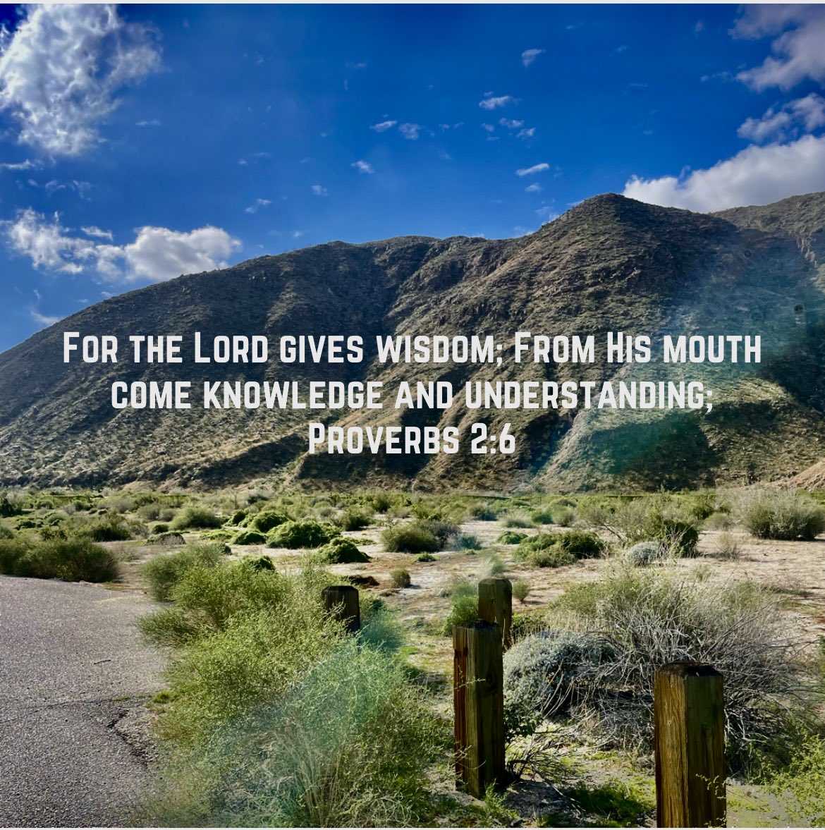 Loving this #Bible #verse about wisdom so thought I’d share with all of you . . . my #special friends!
#wisdom #Wednesday #desert #PalmDesert #wandering #hike