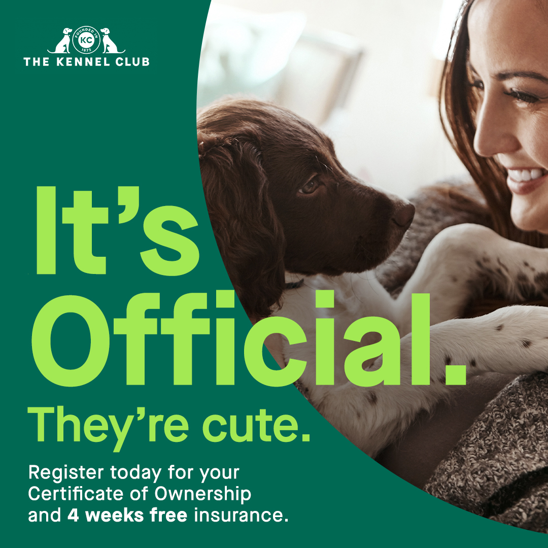Have you just got a new family member? It's time to make it official by changing The Kennel Club's registered ownership into your name! Register your dog with us and get an official Certificate of ownership and four weeks of insurance for free! bit.ly/3UwKAWP