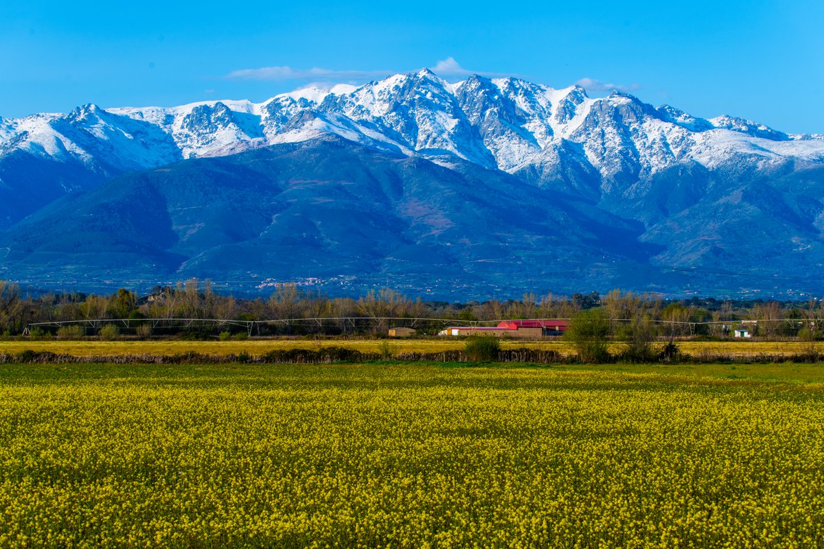 Pa6lo_'s tweet photo. Así se ve la sierra de Gredos y el Almanzor, desde el municipio cacereño de Pueblo Nuevo de Miramontes. https://t.co/WBcErIg14q