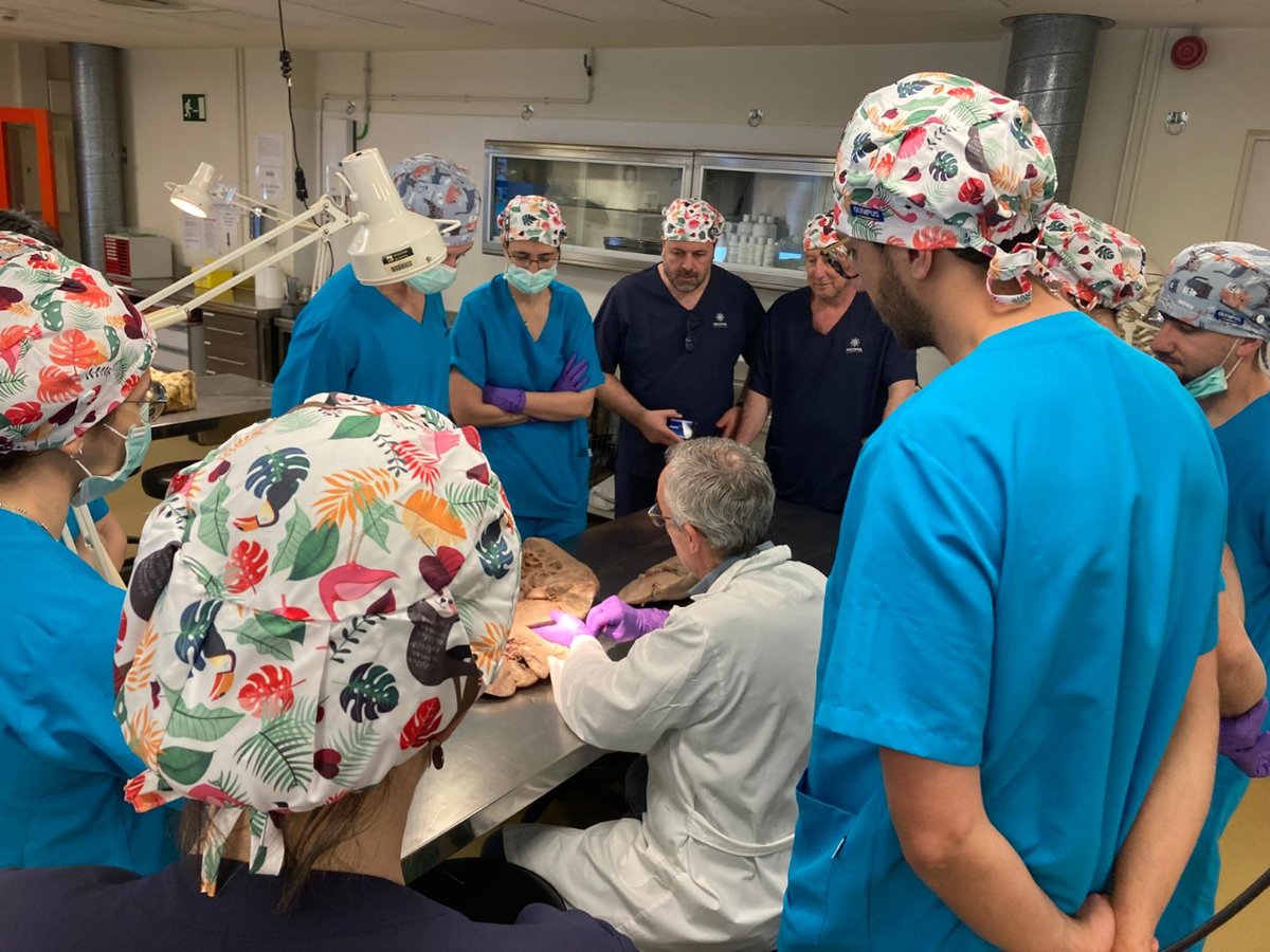 La Unitat de Cirurgia hepatobiliopancreàtica de l'#HTrueta ha reunit cirurgians nacionals i internacionals 👨‍⚕️👩‍⚕️ en un curs d'especialització dedicat a la cirurgia mínimament invasiva HPB, dirigit pel Dr. López-Ben a la <a href="/univgirona/">Universitat de Girona</a>