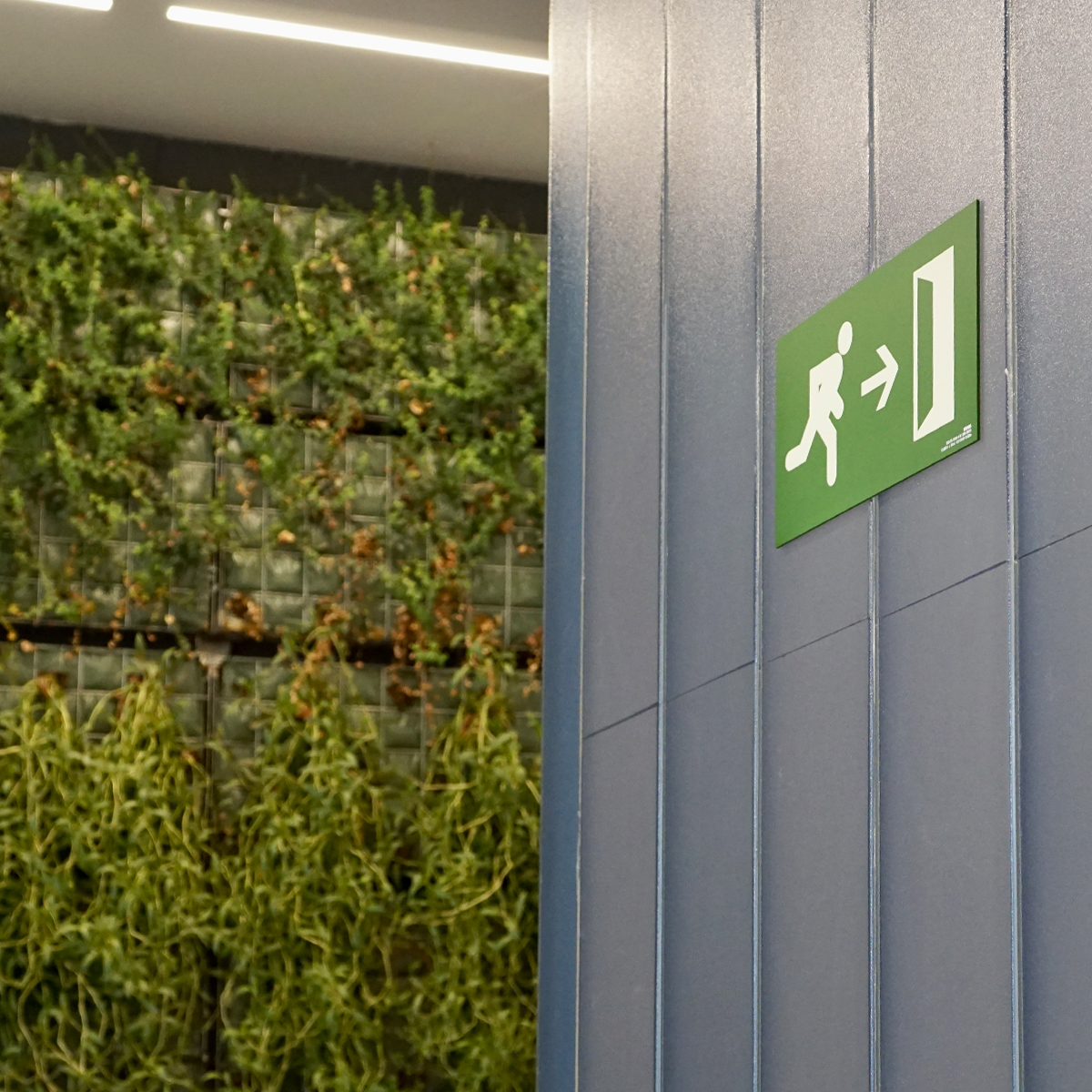 SignesIC's tweet photo. Assistència Sanitaria-Assisport en Barcelona mejora la experiencia del paciente al crear un ambiente cálido y acogedor.
Design: @mandaruixadesign @mayarolando7

#signedbysignes #design #insurance #business #woodwork #architecture #graphicdesign #signage #industrialdesign https://t.co/nadd3VRbH5