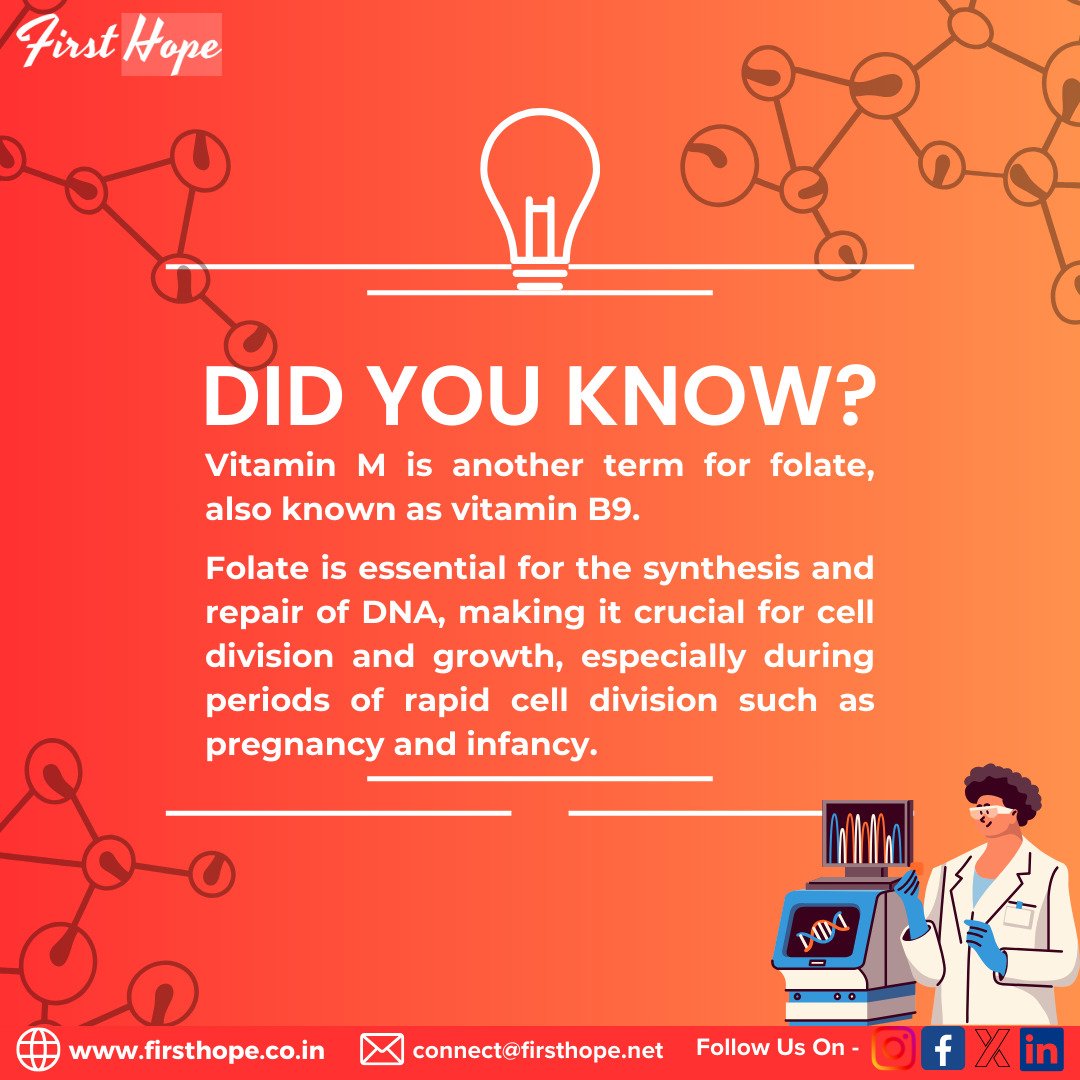 Vitamin M or Vitamin B9, you decide 🤔 

#HealthInHistory
#pharmacyhistory
#PharmacyFacts
#MedicationSafety
#medicines
#Firsthope
#Askfirsthope
#FirstHopePharma
#YourPharmacyGuide
#PharmacyAdvice
#PharmacyLife
#Pharmacist
#FuturePharmacist
#PharmacyStudent
#PharmacyTech