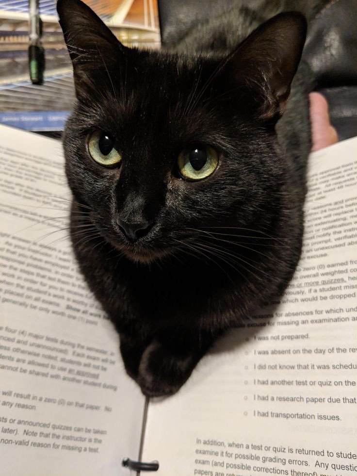 178tk_'s tweet image. ไอเนิร์ด                                  ชอบมีแฟนสวย