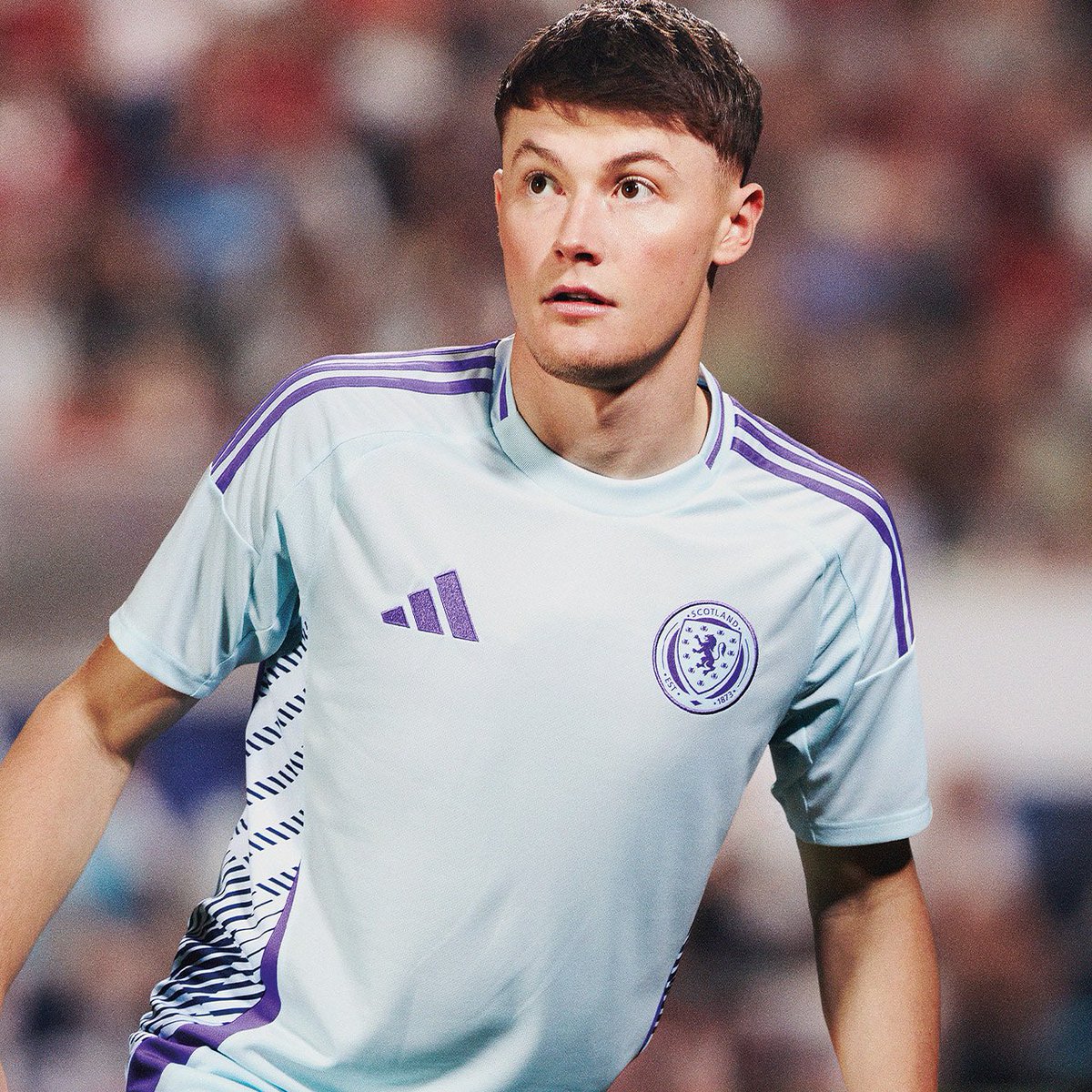 Nathan Patterson tweet media