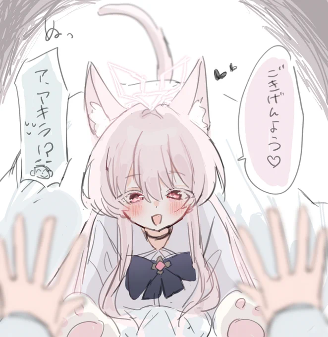 いきなり布団にネコちゃんが…!? 