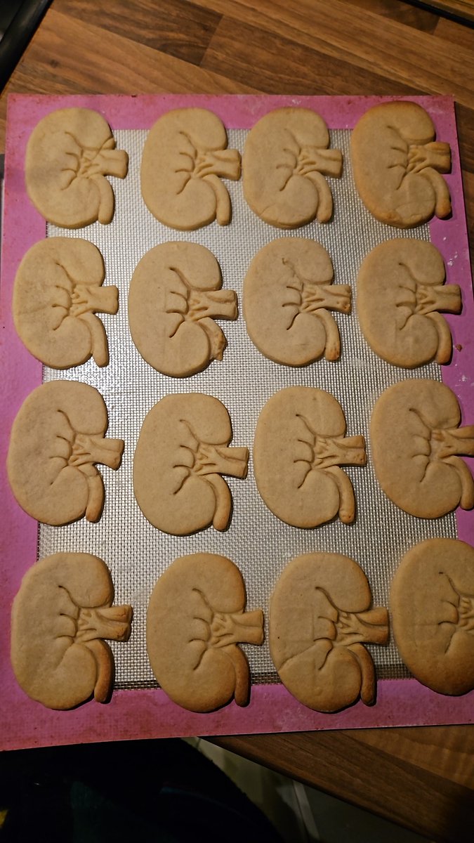 Happy #worldkidneyday2024 my friend made me 'kidney queen' biscuits and I made some kidneys. @UKKidney @LondonKidney