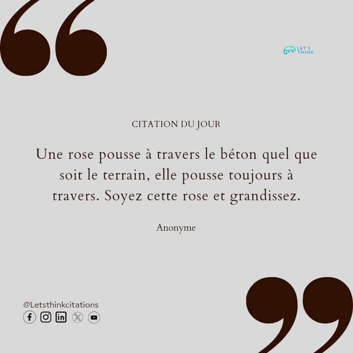 Let's think citations tweet media