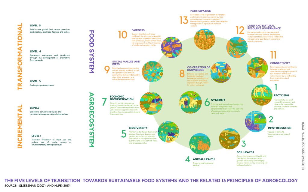 Have you heard about the 13 principles of agroecology? How many of them does your agroecology enterprise meet? 😀 #AgroecologyWorks #Agroecology