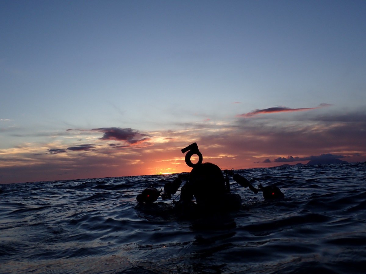 東京大学海洋研究会 tweet media