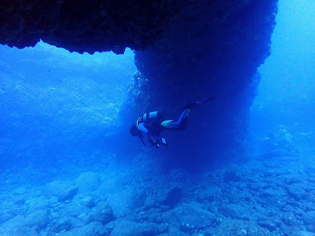 東京大学海洋研究会 tweet media