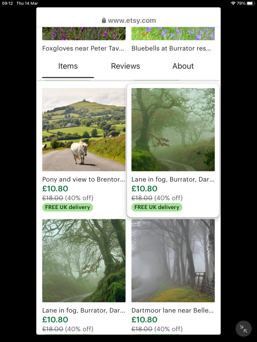 ℜ𝔞𝔠𝔥𝔢𝔩 𝔅𝔲𝔯𝔠𝔥 🦼📷 tweet media