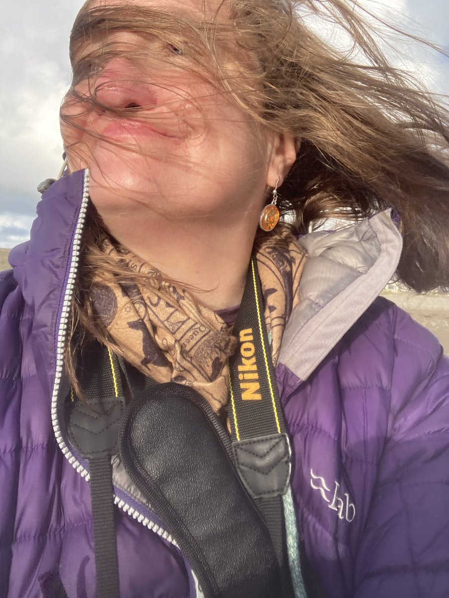 ℜ𝔞𝔠𝔥𝔢𝔩 𝔅𝔲𝔯𝔠𝔥 🦼📷 tweet media