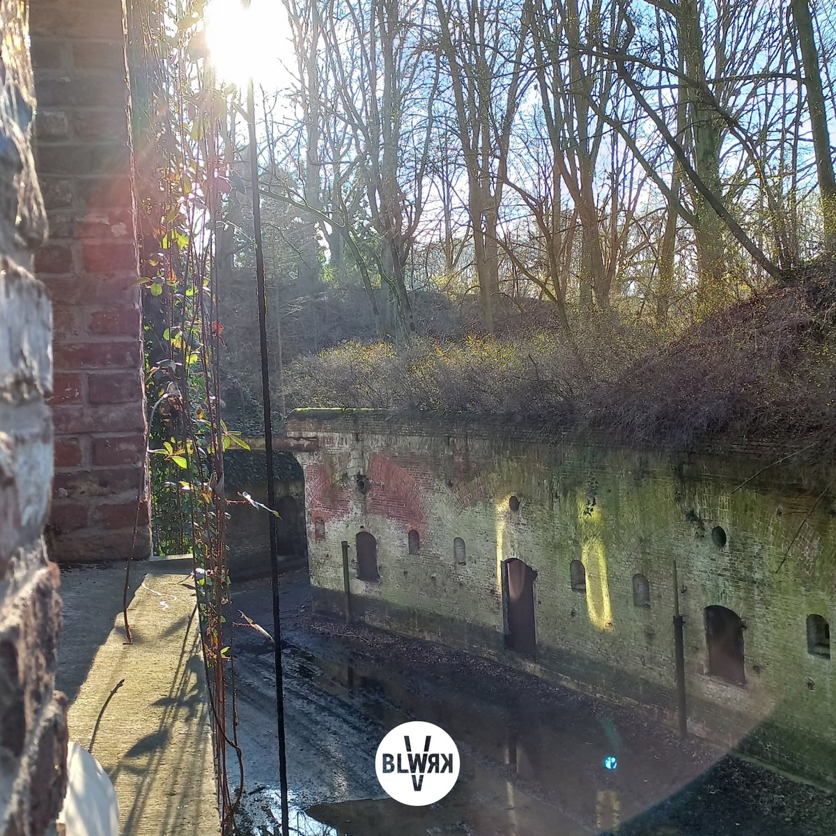 Coworking space with a view

#BLWRK #lenteinaantocht #morningvibes #inspiratie #fort5 #edegem